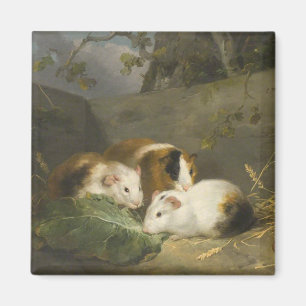 Meerschweinchen (von George Morland) Magnet