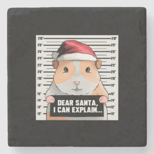Meerschweinchen Weihnachten Cavy Lieber Santa, ich Steinuntersetzer