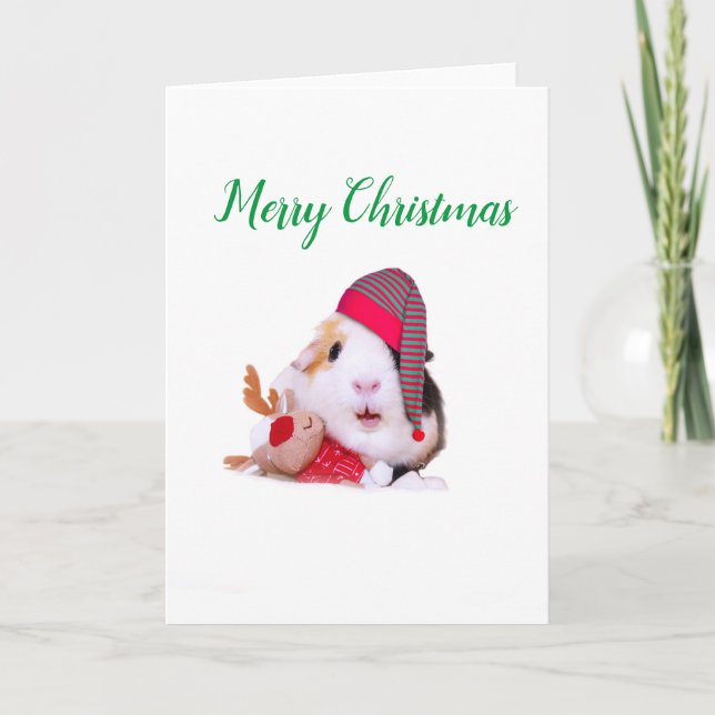 Meerschweinchen-Weihnachten Feiertagskarte (Vorderseite)