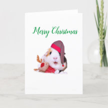 Meerschweinchen-Weihnachten