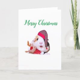 Meerschweinchen-Weihnachten Feiertagskarte