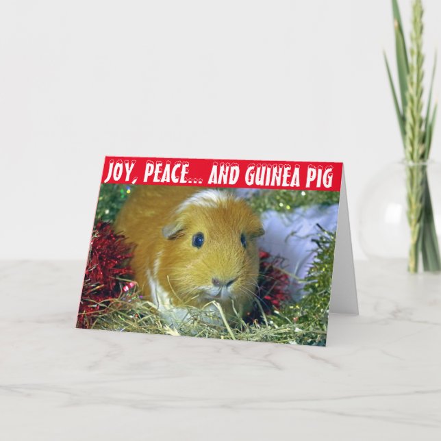Meerschweinchen-Weihnachtskarte Feiertagskarte (Vorderseite)