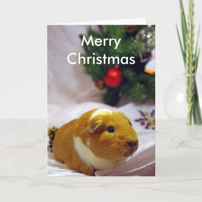 Meerschweinchen-Weihnachtskarte Feiertagskarte (Vorderseite)