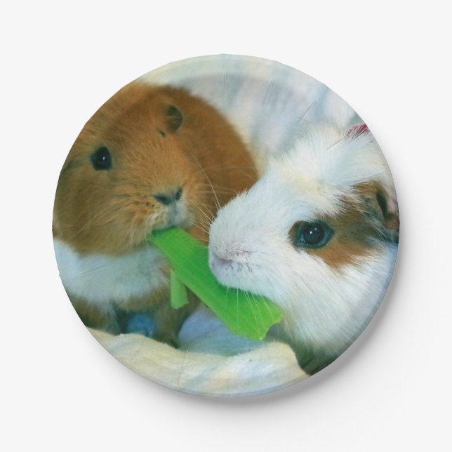 Meerschweinchen Weihnachtsplatte Pappteller (Vorderseite)