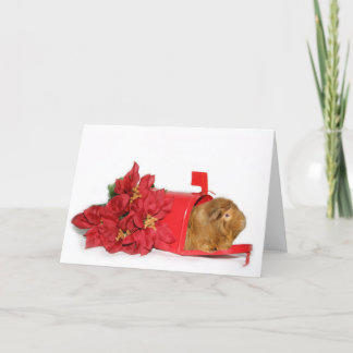 Meerschweinchen-Weihnachtspost Feiertagskarte