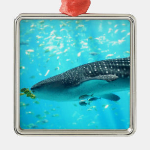 Meerwasserchic Stilvoll Cooler Blauwal-Hai Silbernes Ornament