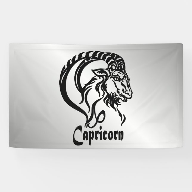 Meerziege Zodiac-Party-Hut Banner (Horizontal)