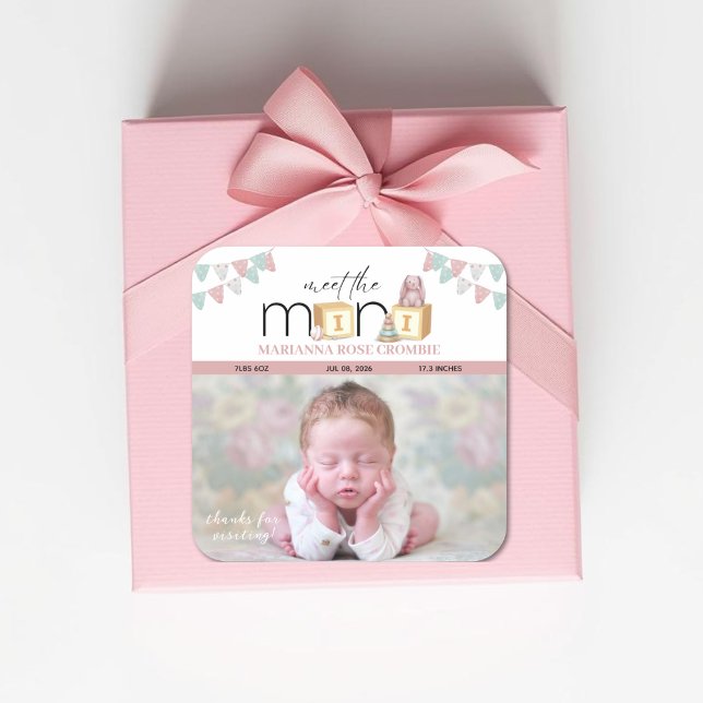 Meet The Mini Pink Baby Stickers (Von Creator hochgeladen)