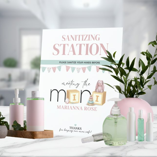 Meet The Mini Pink Sanitizing Station Sockelschild (Von Creator hochgeladen)