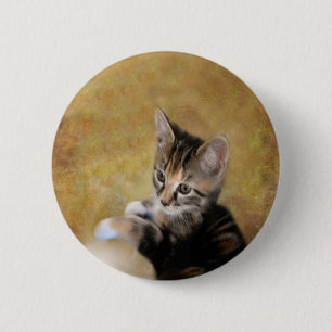 Meet Tiger Button