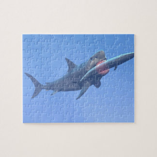 Megalodon, das einen Wal isst