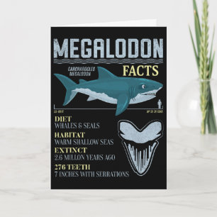 Megalodon Fakten Meg Prähistorischer Haifischzahn Karte