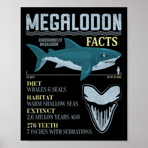 Megalodon Fakten Meg Prähistorischer Haifischzahn Poster