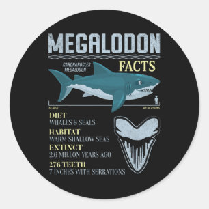 Megalodon Fakten Meg Prähistorischer Haifischzahn  Runder Aufkleber