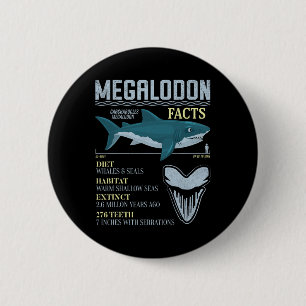 Megalodon Fakten Meg Prähistorischer Haizahn Fossi Button