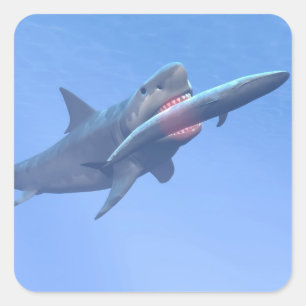 Megalodon frisst einen Wal Quadratischer Aufkleber