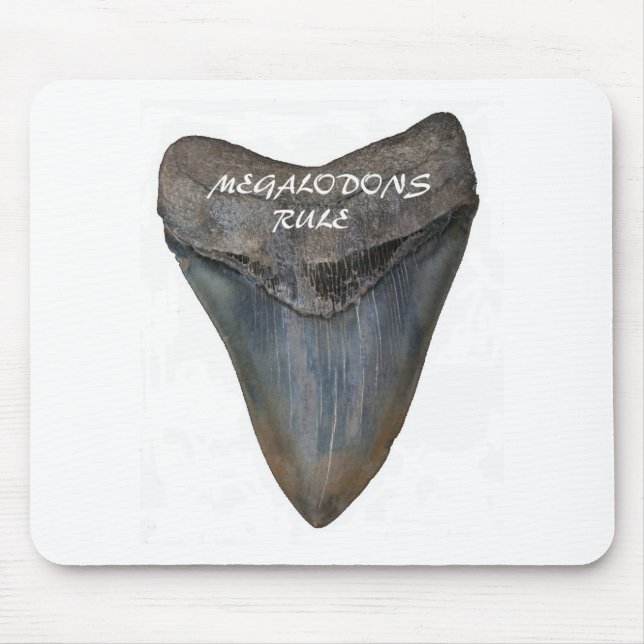 Megalodon Haifisch-Zahn Mousepad (Vorne)