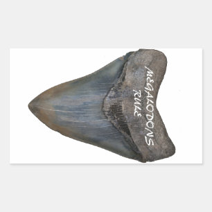 Megalodon Haifisch-Zahn Rechteckiger Aufkleber