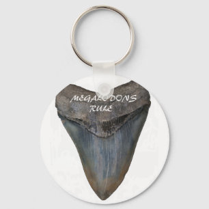 Megalodon Shark Tooth Schlüsselanhänger