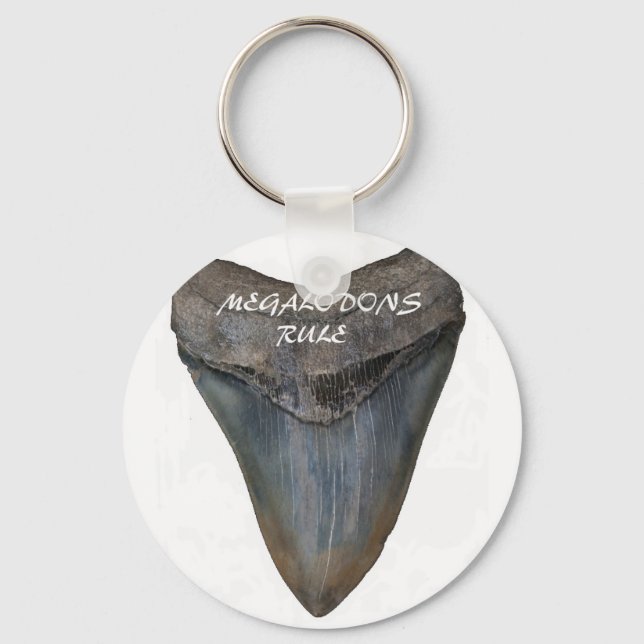 Megalodon Shark Tooth Schlüsselanhänger (Vorderseite)