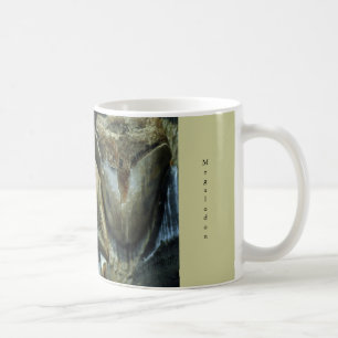 Megalodon versteinerte Haifisch-Zahn-Tasse Kaffeetasse