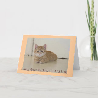 Meggie Notecards Karte