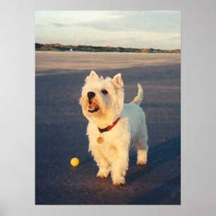 Mehr bitte! Westie-Ball-Plakat Poster