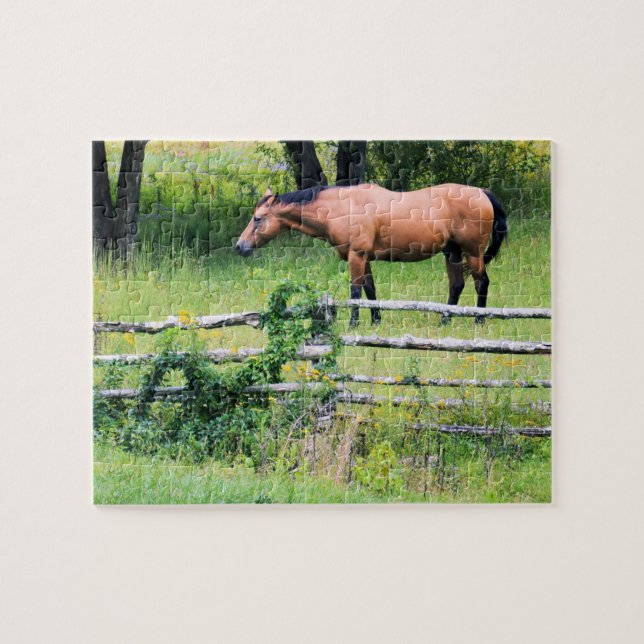 Mehr Fahren - Schlimmer noch - Pferderasse - 8x10 (Horizontal)
