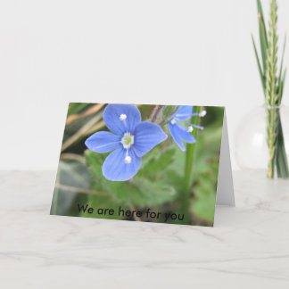 mehr Frühlings-Blumen 10 001, sind wir hier für Karte