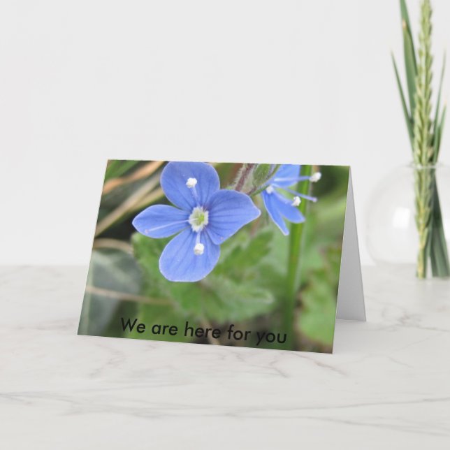 mehr Frühlings-Blumen 10 001, sind wir hier für Karte (Vorderseite)