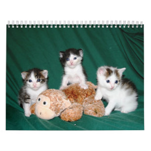 Mehr Kätzchen! Kalender