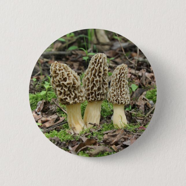 Mehr Morcheln Button (Vorderseite)