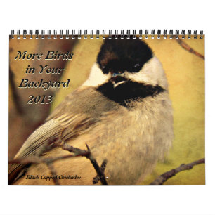 Mehr Vögel in Ihrem Hinterhof-Kalender 2013 Kalender