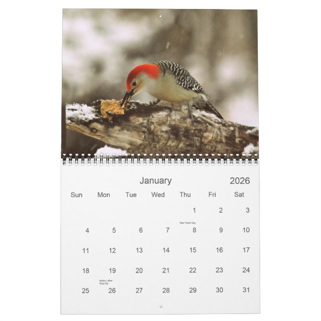 Mehr Vögel in Ihrem Hinterhof-Kalender 2013 Kalender (Jan 2026)