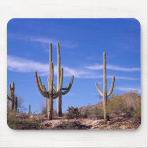 Mehrarmiger Riesen-Saguaro-Kaktus, Saguaro Mousepad
