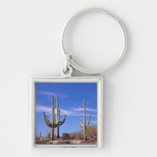 Mehrarmiger Riesen-Saguaro-Kaktus, Saguaro Schlüsselanhänger