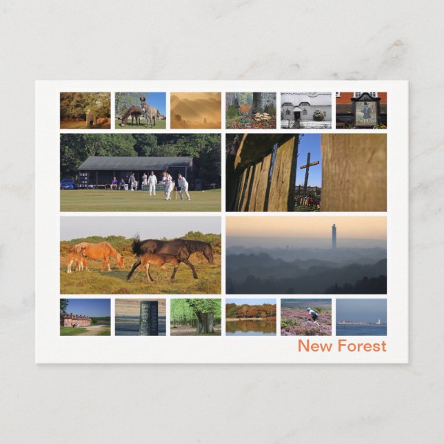 Mehrbild des neuen Waldes Postkarte (Vorderseite)