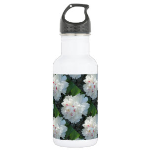 Mehrfach Wertvolle Peak-Wasser-Flasche Edelstahlflasche