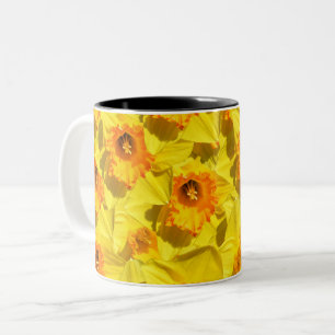 Mehrfache Daffodils Goldmedaille-Blume Zweifarbige Tasse