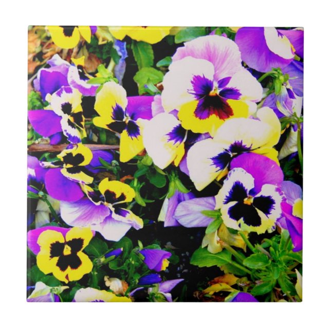 MehrfarbenStiefmütterchenfliese Fliese (Vorderseite)