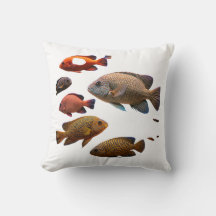 mehrfarbige Fische