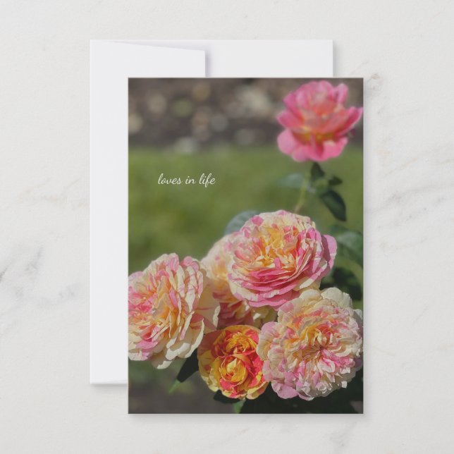 Mehrfarbige Rosen Mitteilungskarte (Vorderseite)