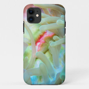 Mehrfarbige Seeanemone title_seo2