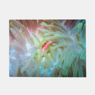 Mehrfarbige Seeanemone Fußmatte