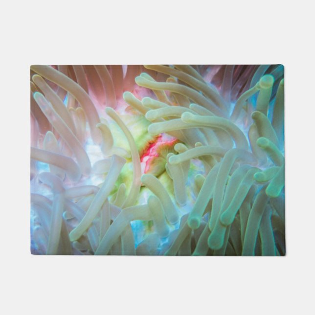 Mehrfarbige Seeanemone Fußmatte (Vorderseite)