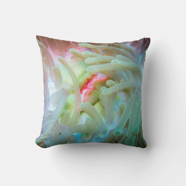 Mehrfarbige Seeanemone Kissen (Vorderseite)