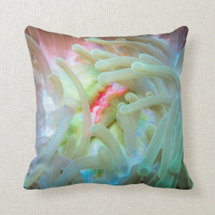 Mehrfarbige Seeanemone Kissen