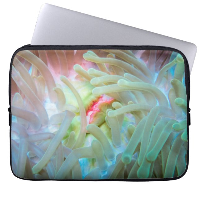 Mehrfarbige Seeanemone Laptopschutzhülle (Vorderseite)