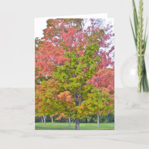 "MEHRFARBIGER BAUM IN FALL" GREETINGKARTE KARTE