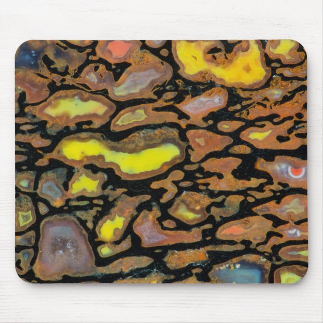 Mehrfarbiger Dinosaurier Mousepad (Vorne)